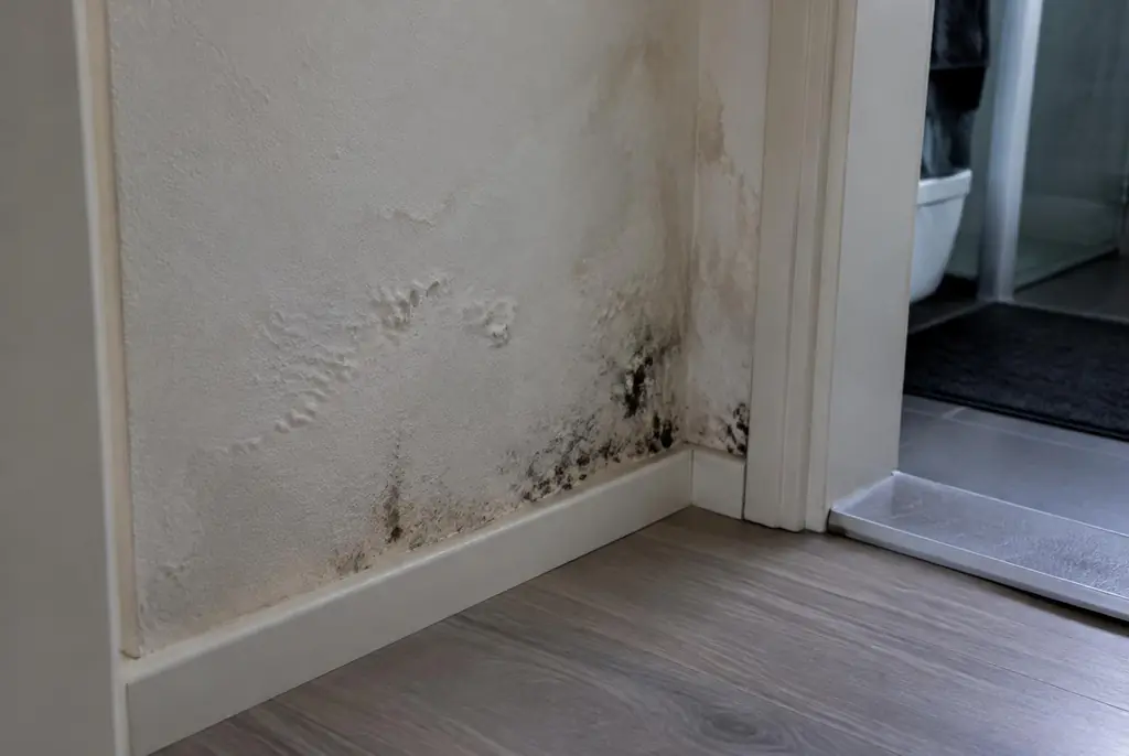 Lekdetectie Naaldwijk – vochtplek met schimmel op een muur